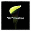 MF Creation